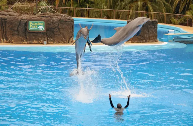 Palmitos Park op Gran Canaria