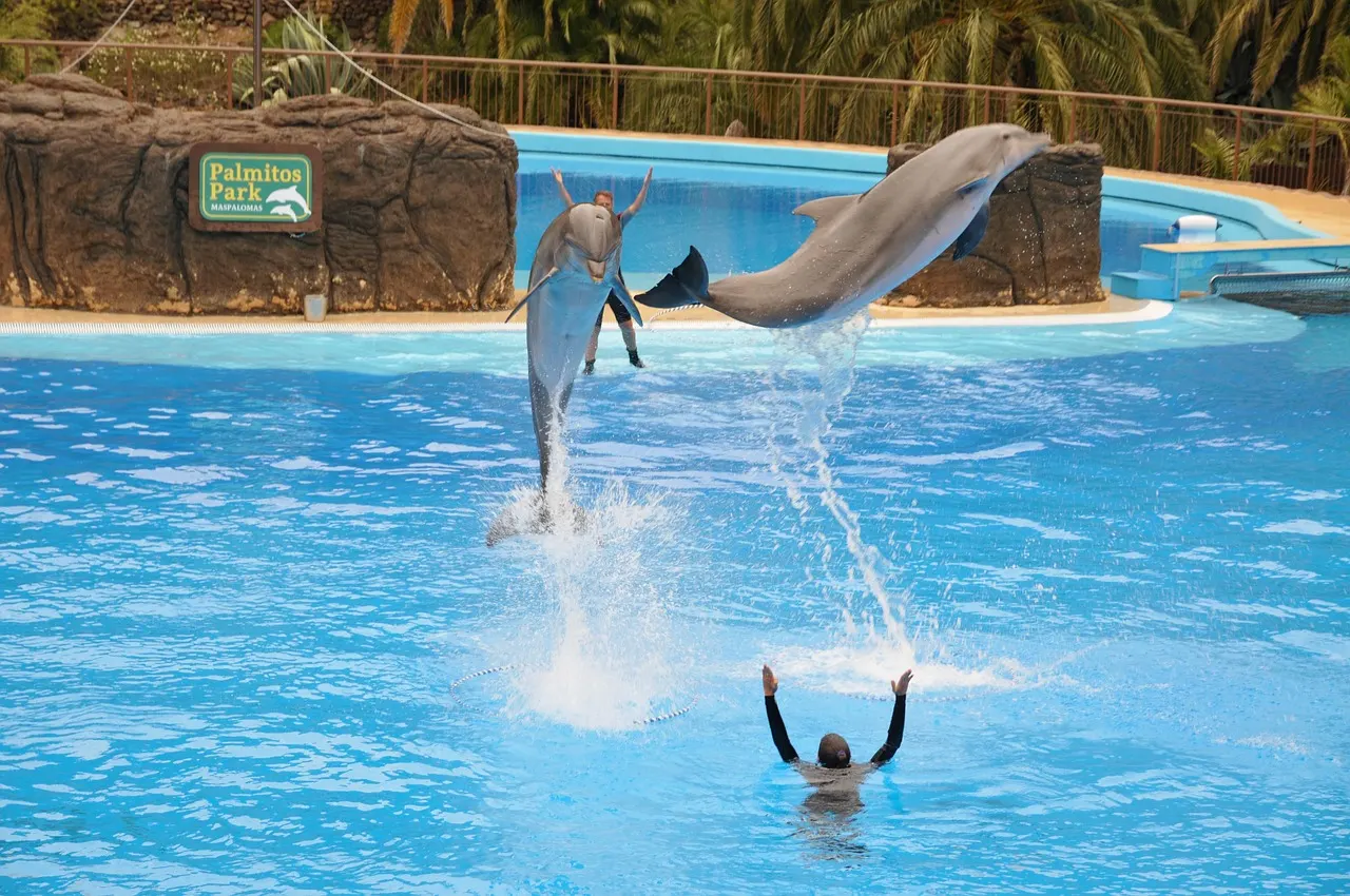 Palmitos Park op Gran Canaria