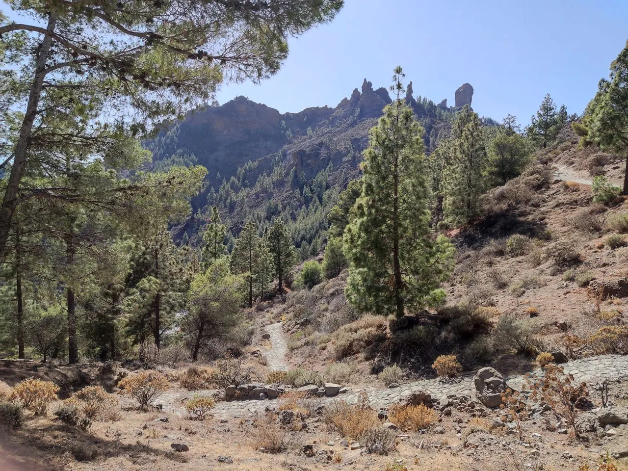 Parque Natural de Tamadaba op Gran Canaria